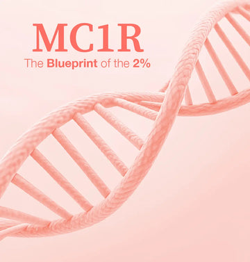 Redhead Genetics Explained: The MC1R Gene, Red Hair, and Why Redheads Burn Easily Redhead Revolution